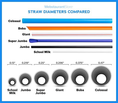 stanley straw sizes